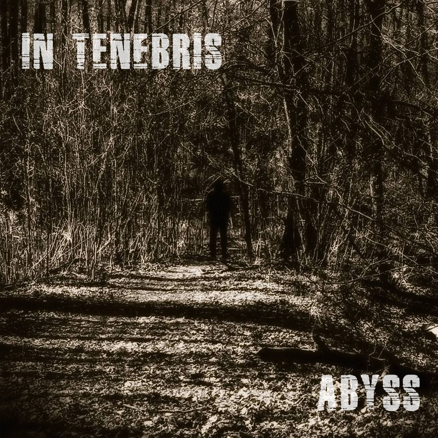 Cover for Abyss