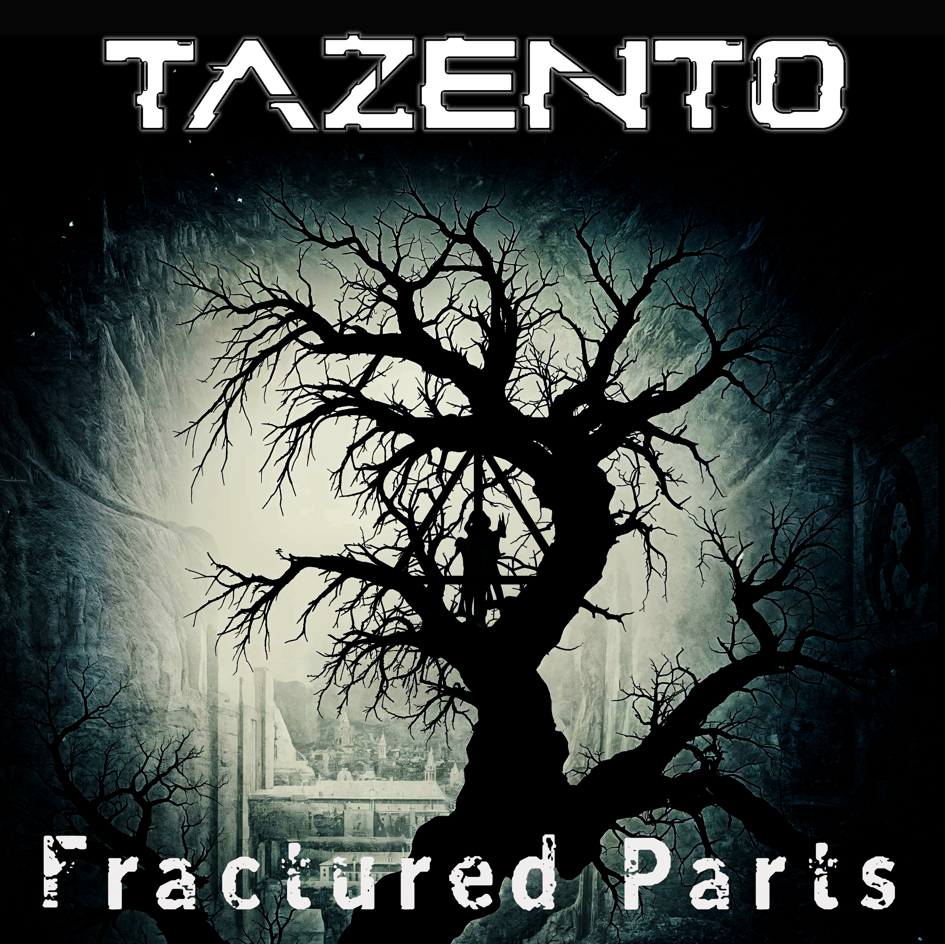 Cover for Fractured Parts